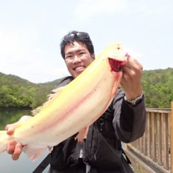 フィッシングレイクたかみや 釣果