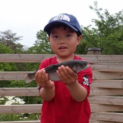 フィッシングレイクたかみや 釣果