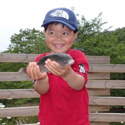 フィッシングレイクたかみや 釣果