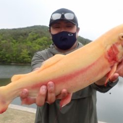 フィッシングレイクたかみや 釣果