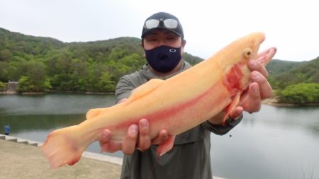 フィッシングレイクたかみや 釣果