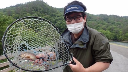 フィッシングレイクたかみや 釣果