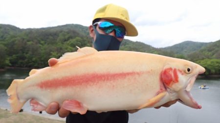 フィッシングレイクたかみや 釣果