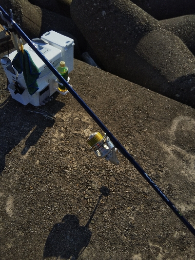 高砂港のキス釣り