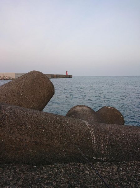 いろいろ釣れたけど結局ガシリング