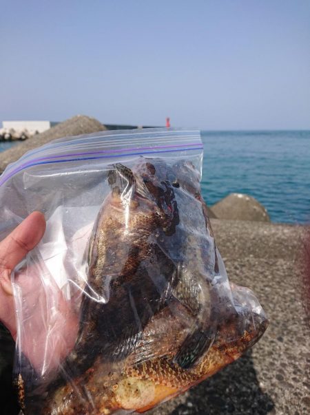 いろいろ釣れたけど結局ガシリング