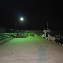 鯵探し兼メバリング