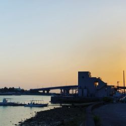 本部釣りイカダ 釣果