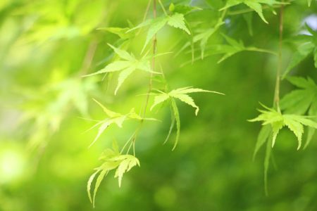 小菅トラウトガーデン 釣果