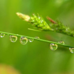 小菅トラウトガーデン 釣果