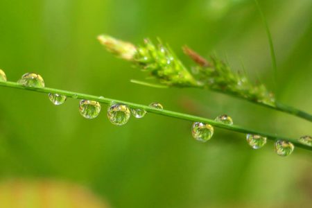 小菅トラウトガーデン 釣果