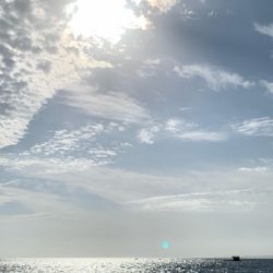 本部釣りイカダ 釣果