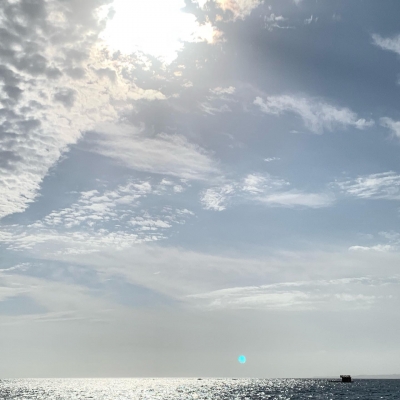 本部釣りイカダ 釣果