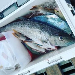 本部釣りイカダ 釣果