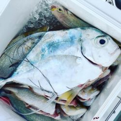 本部釣りイカダ 釣果