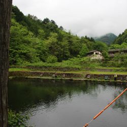 小菅トラウトガーデン 釣果
