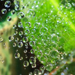 小菅トラウトガーデン 釣果