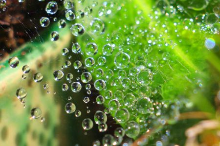 小菅トラウトガーデン 釣果