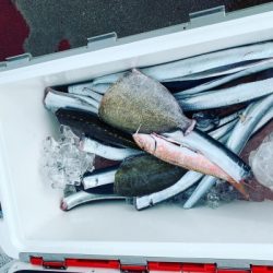 本部釣りイカダ 釣果