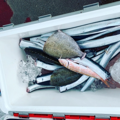 本部釣りイカダ 釣果