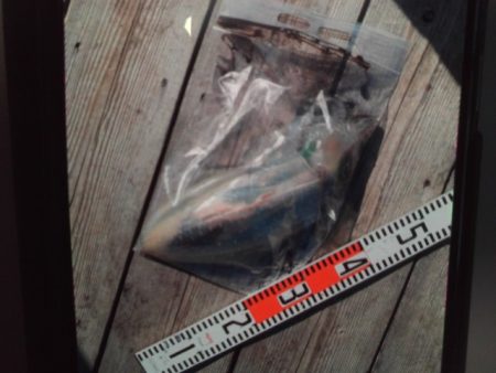 こかわ渡船　雅丸 釣果