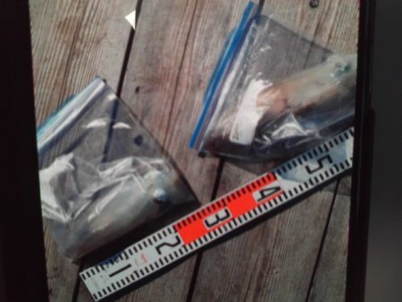 こかわ渡船　雅丸 釣果