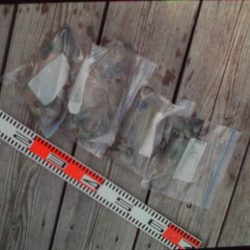 こかわ渡船　雅丸 釣果