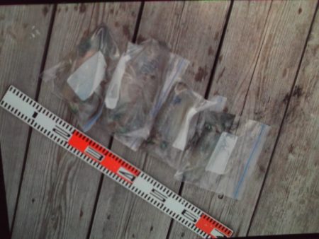 こかわ渡船　雅丸 釣果