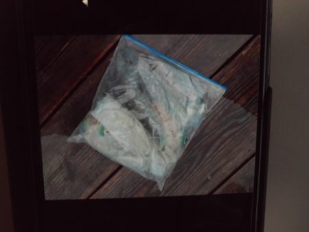 こかわ渡船　雅丸 釣果