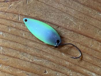 フィッシング サンクチュアリ 釣果