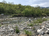 秩父フライフィールド 釣果