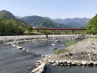 秩父フライフィールド 釣果