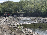 秩父フライフィールド 釣果