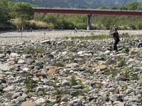 秩父フライフィールド 釣果