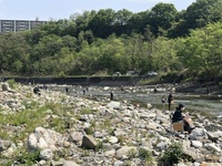 秩父フライフィールド 釣果