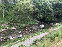 秩父フライフィールド 釣果