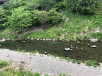 秩父フライフィールド 釣果