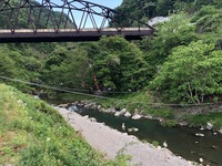 秩父フライフィールド 釣果