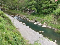 秩父フライフィールド 釣果