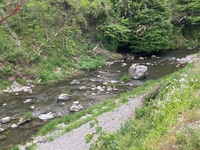 秩父フライフィールド 釣果