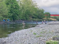秩父フライフィールド 釣果