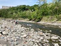 秩父フライフィールド 釣果