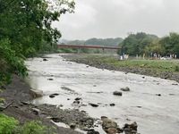 秩父フライフィールド 釣果