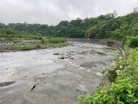 秩父フライフィールド 釣果