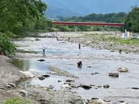 秩父フライフィールド 釣果