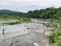秩父フライフィールド 釣果