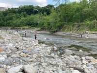 秩父フライフィールド 釣果