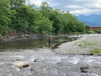 秩父フライフィールド 釣果