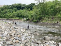 秩父フライフィールド 釣果