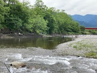 秩父フライフィールド 釣果